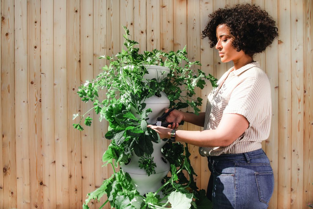 Une femme qui s’occupe d’une plante