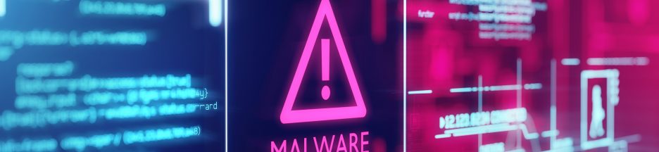 Ransomware-sécurité-conseil Image d’un malware avec des codes informatiques