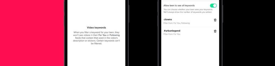 conseil-des-jeunes-controle-parental-tiktok L’interface de la fonctionnalité du mode « Connexion famille » de TikTok, un dispositif de contrôle parental tout comme « Conseil des jeunes ».