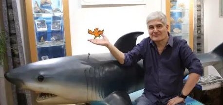 Little-museum-of-the-word-recherche-hong-kong-christian-pilard Homme devant représentation d’un requin avec petit oiseau orange dessinée dans la main
