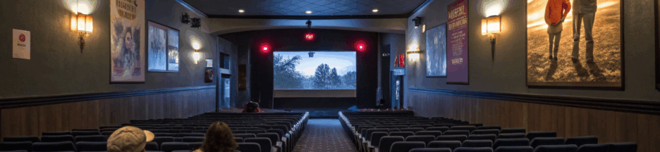 des gens au cinéma pour voir The Immaculate Room