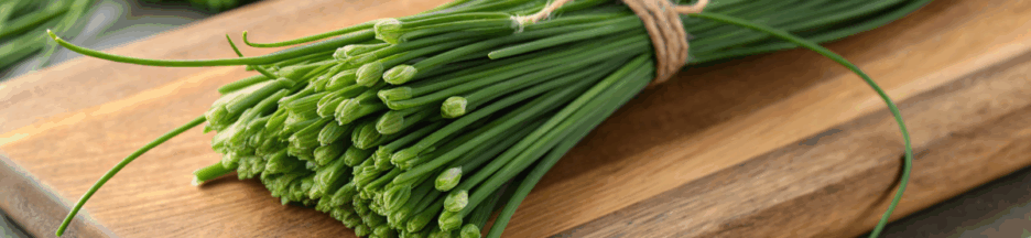 des herbes résistantes au froid (de la ciboulette)