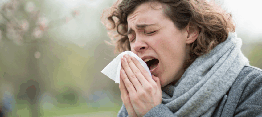 Allergie au sapin de Noël : signes à reconnaître