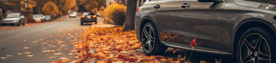 une voiture et des feuilles mortes