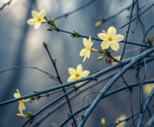 Featured Post (Sticky Post)