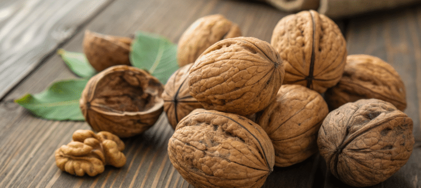 Fibres : la nouvelle obsession nutritionnelle