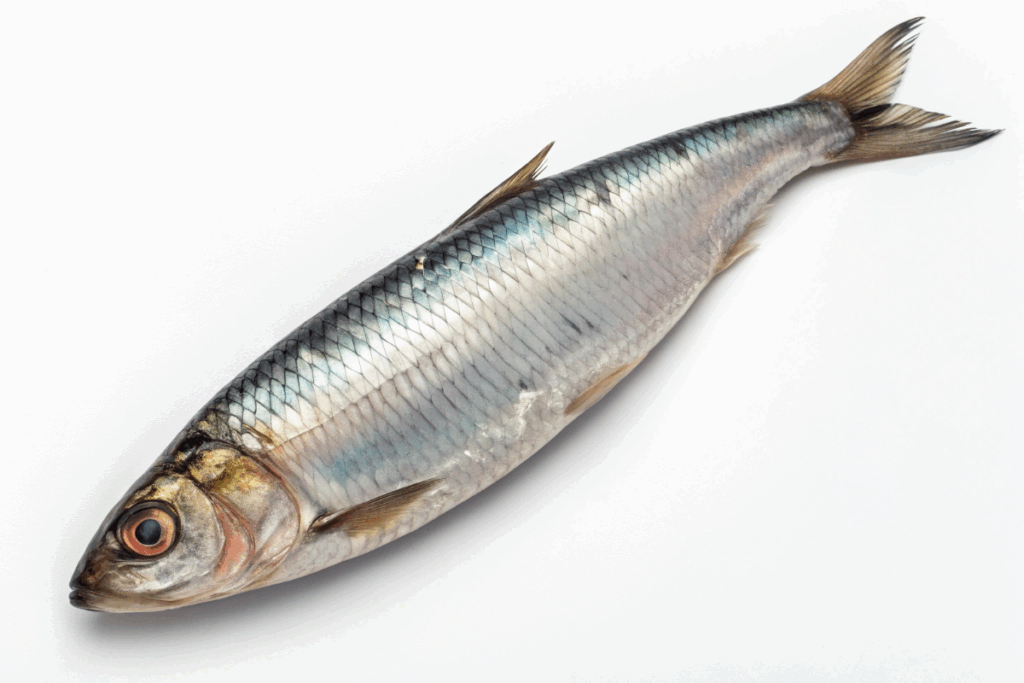 de la vitamine D dans le hareng