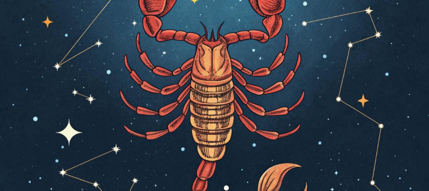 Scorpions : forces, faiblesses et personnalité