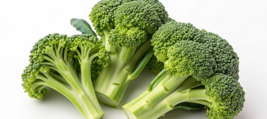 Brocoli : alimentation saine et équilibrée