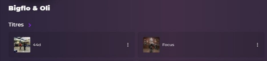 La page artiste de Bigflo et Oli sur Playup