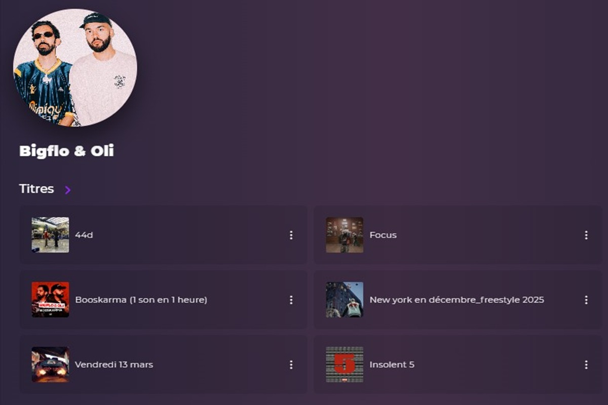 La page artiste de Bigflo et Oli sur Playup