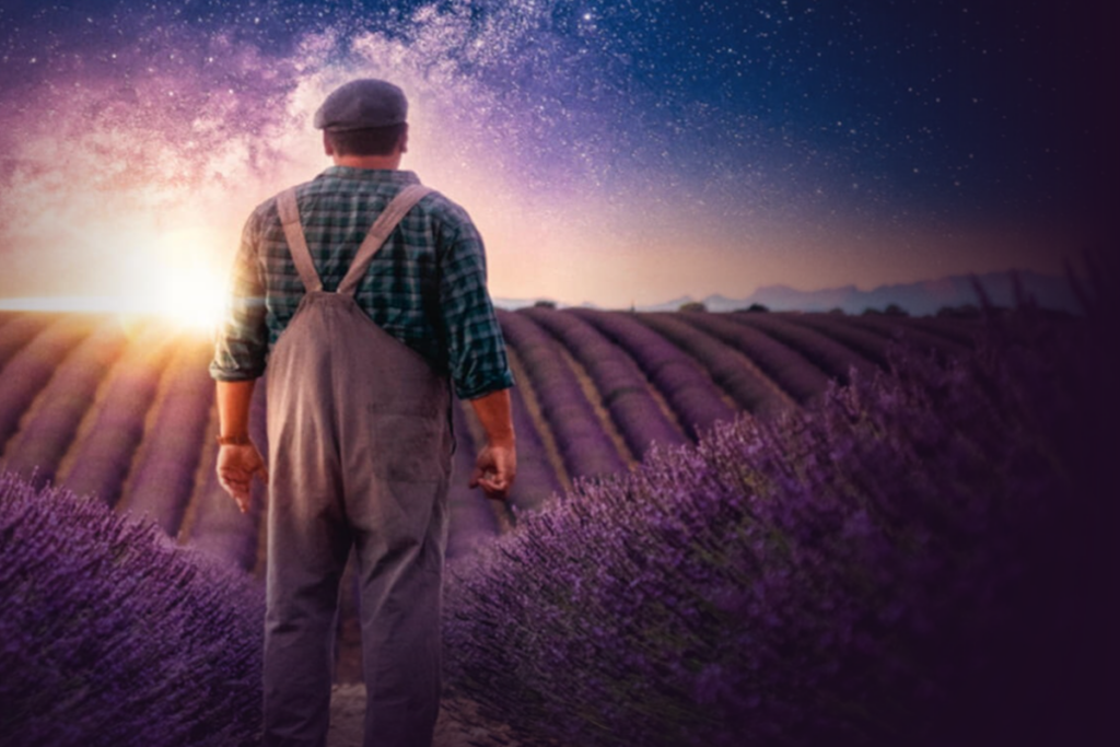 Affiche de Valensole 1965