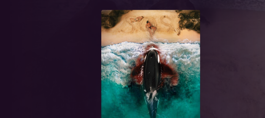 Killer Whale : la revanche du monde sauvage