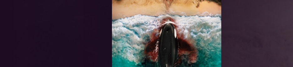 Le film Killer Whale sur PlayVOD