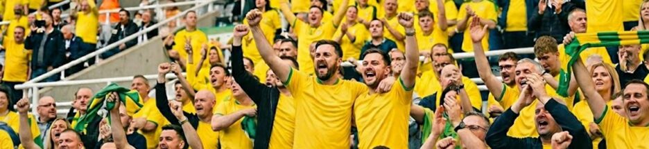 Supporters du Brésil