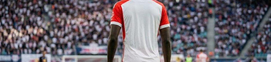 Joueur similaire à Yan Diomandé