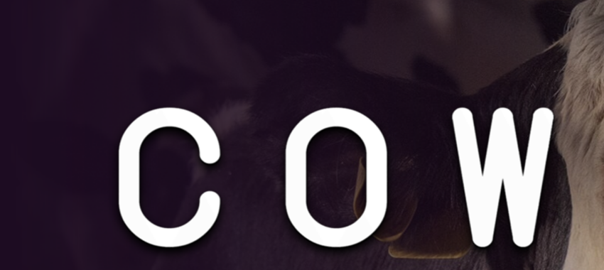 Cow : la vache laitière devient personnage de cinéma