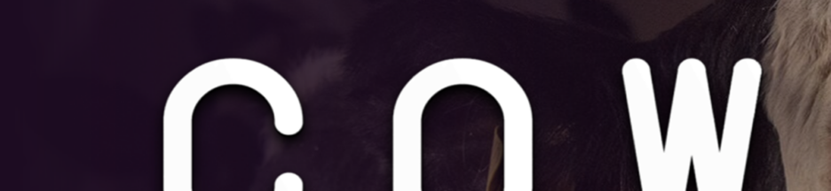 Le documentaire Cow sur PlayVOD