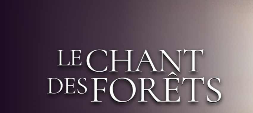 Le Chant des Forêts : apprendre à voir la nature autrement