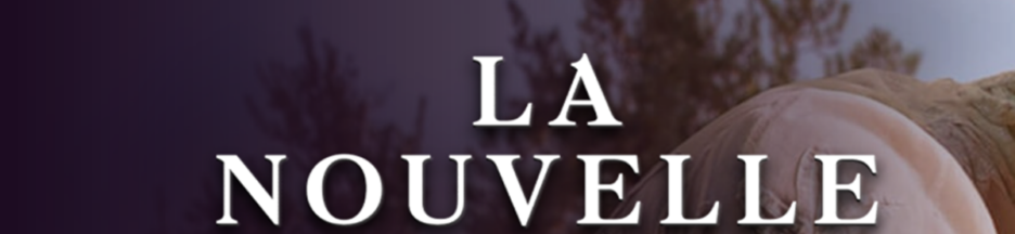 Le film La Nouvelle Femme sur PlayVOD