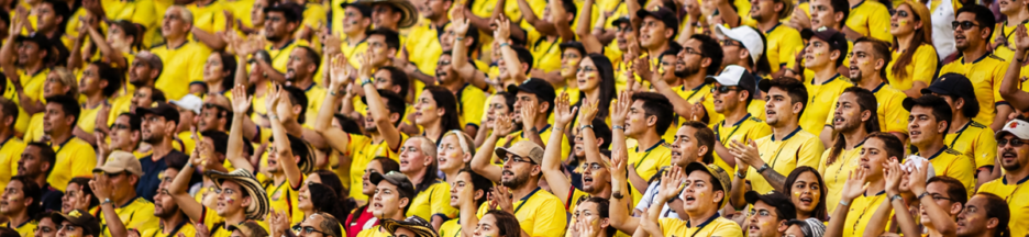 Supporters de la Colombie