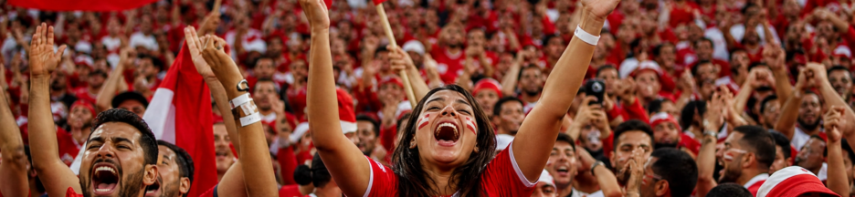 Supporters de la Tunisie