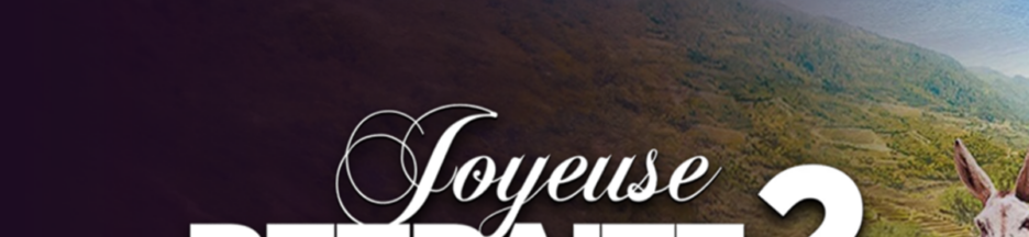 Le film Joyeuse Retraite 2 sur PlayVOD
