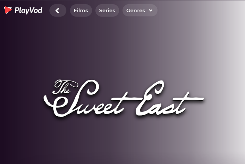 Le film The Sweet East avec Jacob Elordi sur PlayVOD