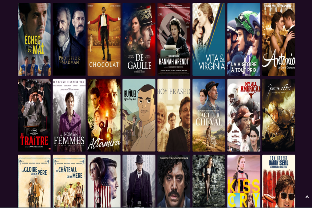 Posters de films biopics