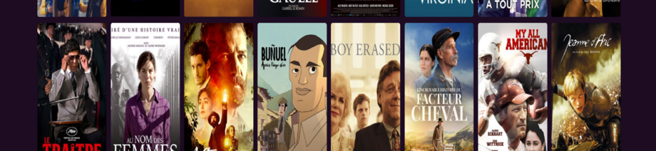 Posters de films biopics