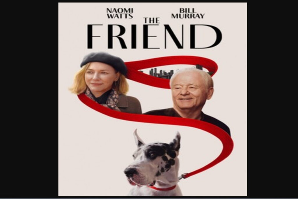 Affiche du drame The Friend