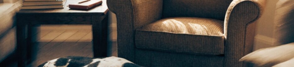 Dogue allemand allongé dans un salon lumineux