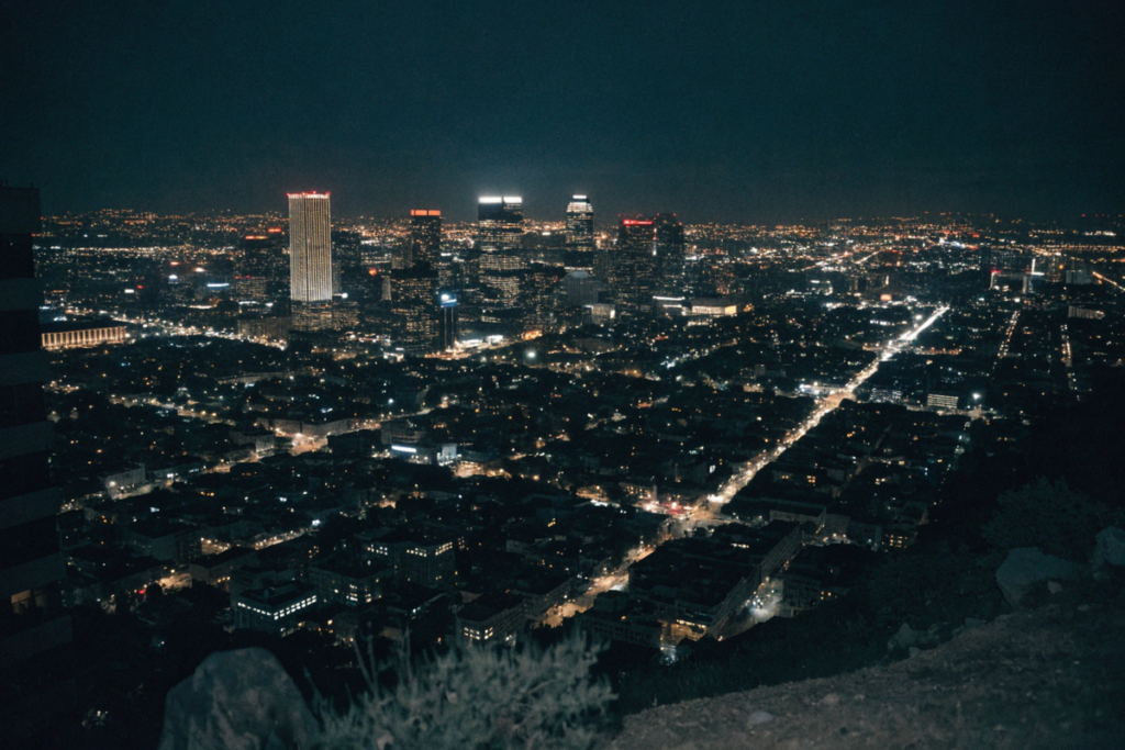 vue nocturne de Los Angeles évoquant l'univers du thriller Animals