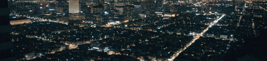 vue nocturne de Los Angeles évoquant l'univers du thriller Animals