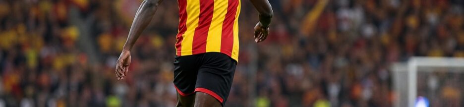 Joueur similaire à Mamadou Sangaré