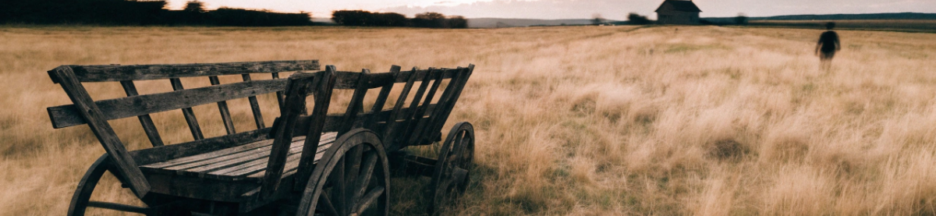 Champ de campagne française évoquant l'univers rural de Justin le Juste