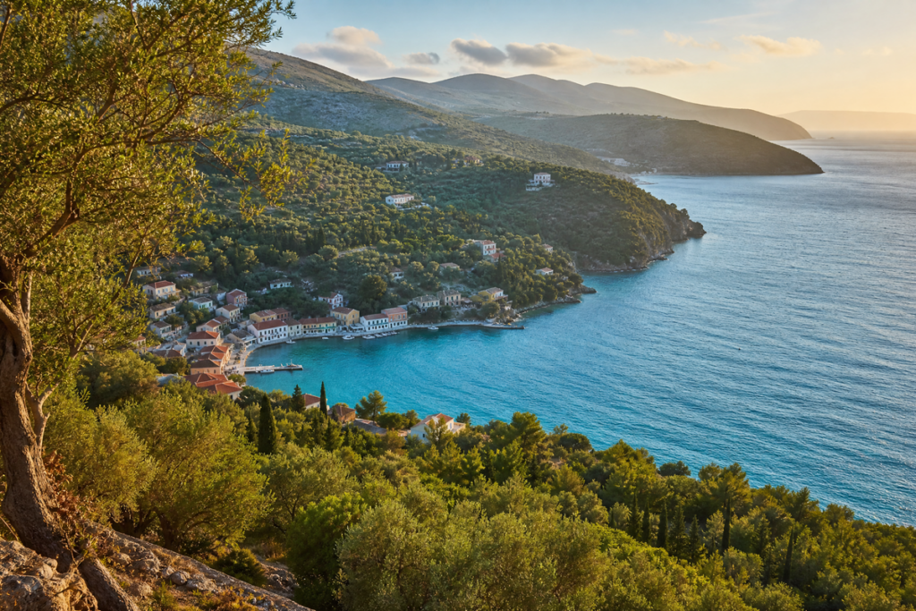 Paysage spectaculaire avec collines couvertes d’oliviers
