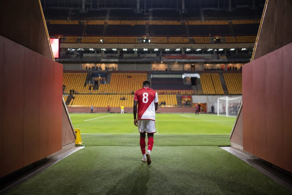 Illustration de Paul Pogba