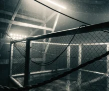 Smashing Machine : Dwayne Johnson transcende le cinéma d&rsquo;action  