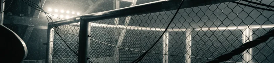 Cage de MMA vide photographiée en plongée évoquant Smashing Machine